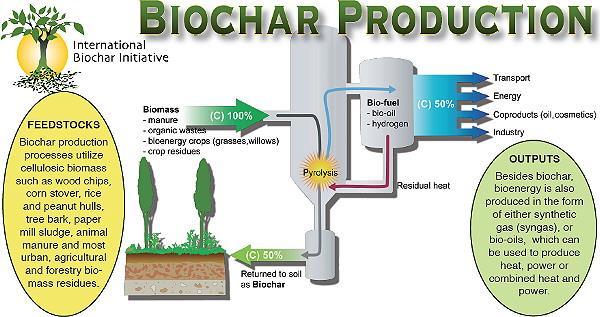 Lignocellulosic Biomass Photo