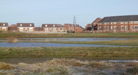 How sustainable are SuDS - Social Positive feeling of open space Premium paid to to live by water Access to wildlife on doorstep