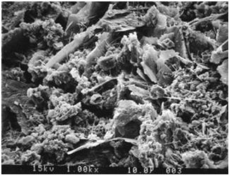 CIVL 1112 Contrete Introduction from CIVL 1101 3/10 Scanning-electron micrographs of hardened cement paste Image