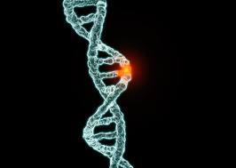 Mutations any CHANGE in the DNA sequence It s a