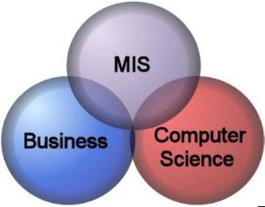Data collected from this operation supports the MIS and DSS systems employed by Middle Management Computerizes the primary and most of the secondary activities on the Value Chain.