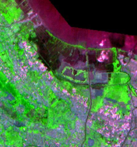 Jauh Landsat 30-07-1992 17-09-2001 U Delta