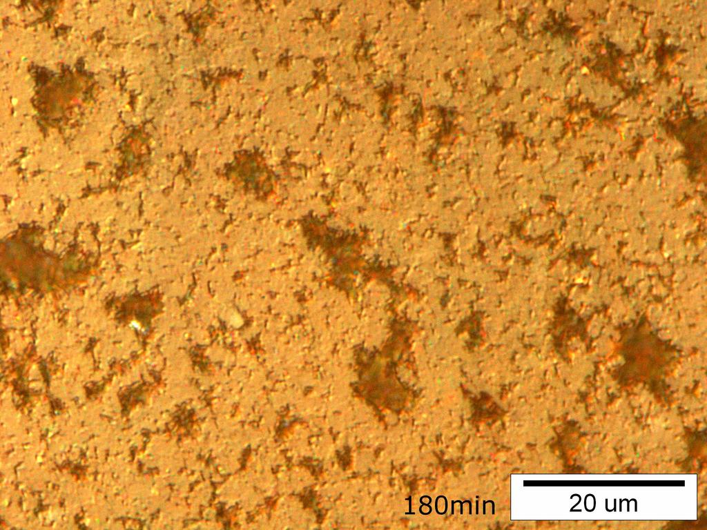 Fig. 6 Spalls out on silicon nitride A after 180min. Optical microscope 3.2 Zirconia. Zirconia has the best cavitation erosion resistance behaviour among the materials studied.