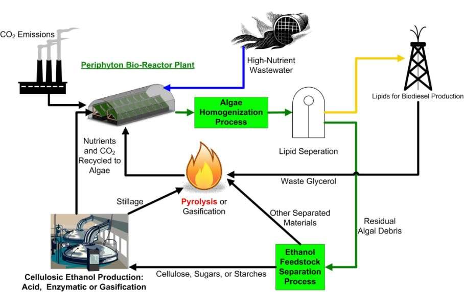 Biodiesel and Bioethanol from Algal Biomass