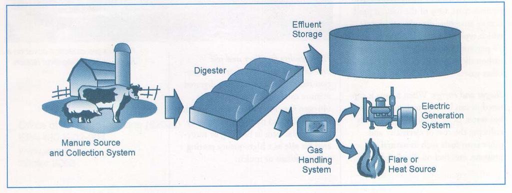 Anaerobic Digester Components Digesters separate manure treatment from storage