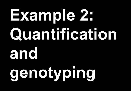 Example 2: Quantification and genotyping Mellors et al 1998