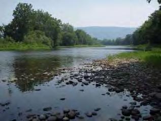 State Wildlife Grants: Benefits for Pennsylvania s Aquatic Species & Their Habitats T he State Wildlife Grants Program represents an investment in the natural resources of Pennsylvania and provides