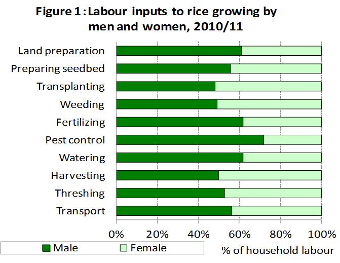 8. Labour inputs to rice growing