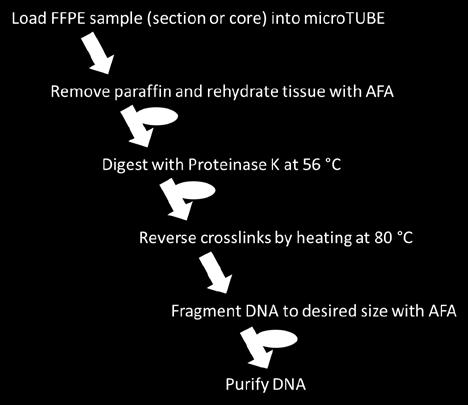 PROCEDURE WORKFLOW OVERVIEW Three different options are possible with Covaris truxtrac FFPE DNA Kit. The three options differ in the workflows for DNA extraction.
