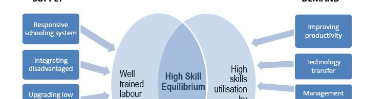 Employment policy: a dual dimension Building a pool of skilled labour force Economy-wide: generic skills,
