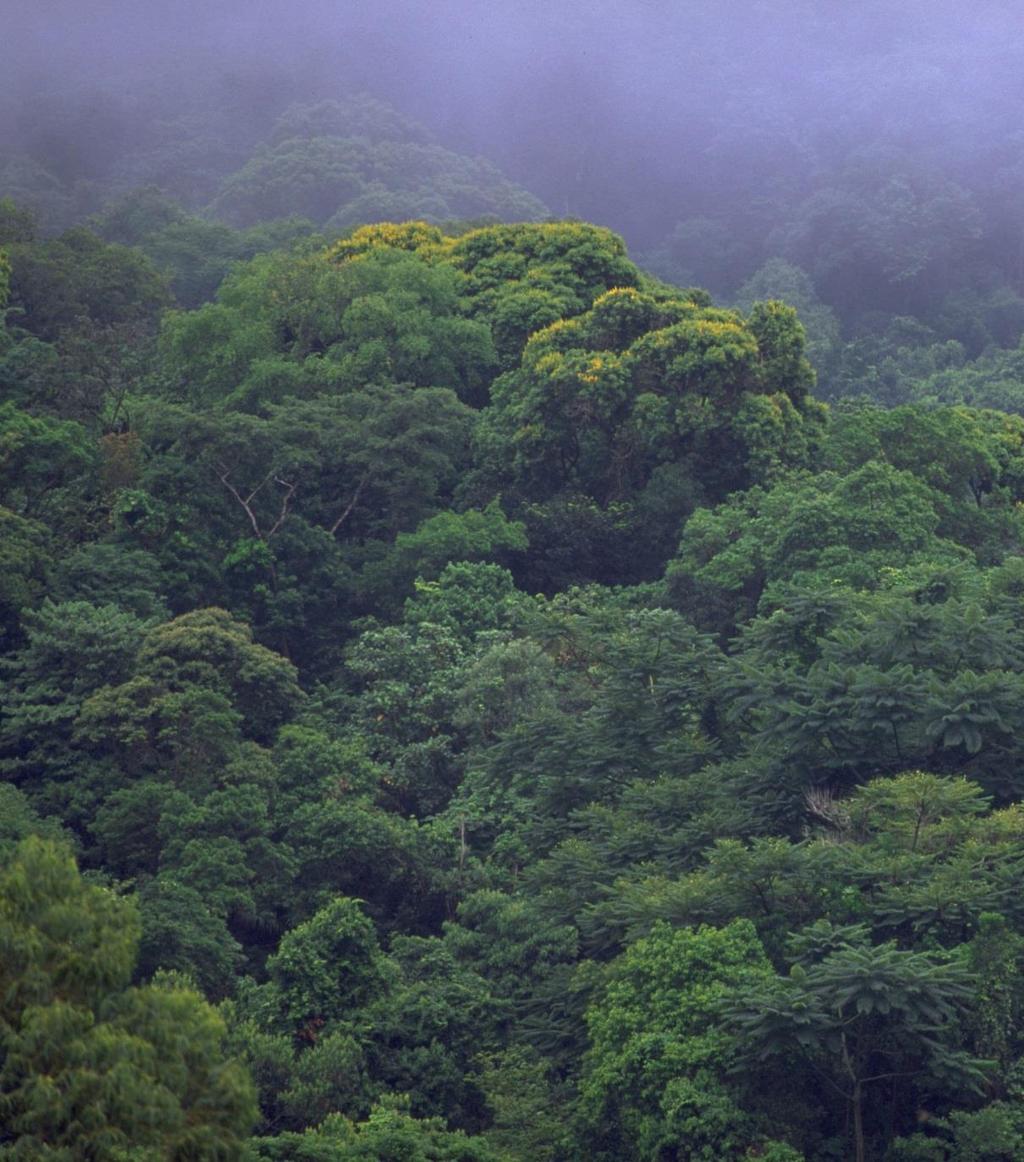 Protected Areas 2 Private Natural Heritage Reserves most threatened biomes in Brazil Over 11.