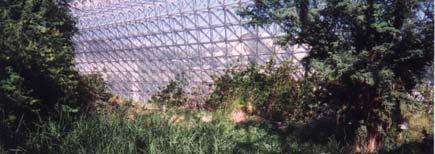 Biosphere 2: Biomes II This is the savannah.