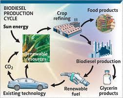 Biofuel: Mechanical Processing Mechanical