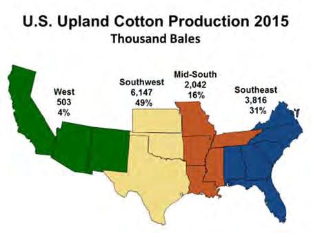 In 2015, the Southeast is estimated to have produced 3.8 million bales, accounting for 30.5% of the total upland crop (Figure 36).