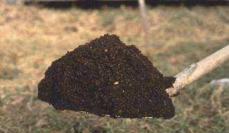 Compost is Stable, soil/humus-like material Rich in organic matter & organisms Free of unpleasant odors Easy to