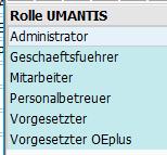 Figure 2: Infotype 9728 possible roles 3.1.2. Allowed umantis modules Here you can define which modules an employee should have access to in umantis.