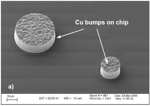 bumps transferred to Ag layer FIB-SEM analysis indicated