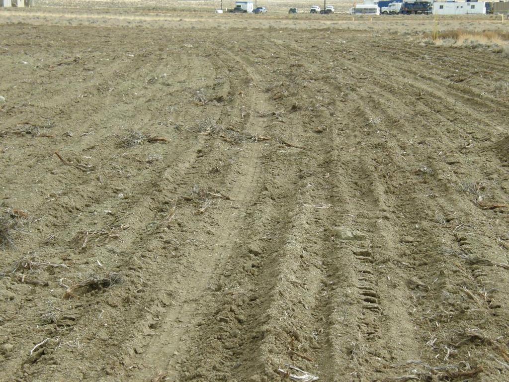 Ideal Seedbed Firm below seeding depth Free of large clods and smooth No clodding or puddling