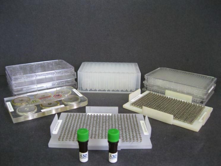 Materials and Supplies Materials and Supplies Needed for High-Throughput Testing 384-Well BiO Assay TM Kit, which includes: NanoShuttle TM -PL (2 600 µl vials); 384-Well Spheroid Drive (1); 384-Well
