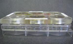 Optimize the number of cells per culture by levitating cultures with more or less cells. Magnetic Levitation 12.