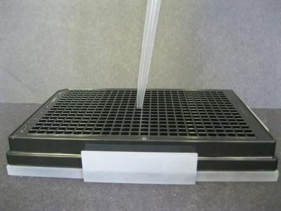 Instructions 20. Dispense the cells into the plate with 50 µl of solution per well and close the plate.