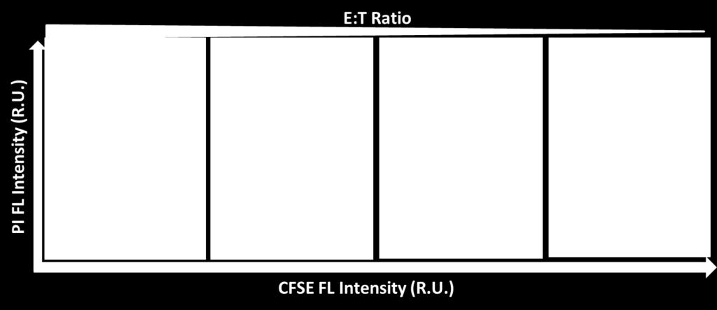 40% 35% 30% 25% 20% 15% 10% 5% 0% Control Positive E:T Ratio At the endpoint, a clear cytotoxicity response is shown in respect to the E:T ratios The % cytotoxicity is