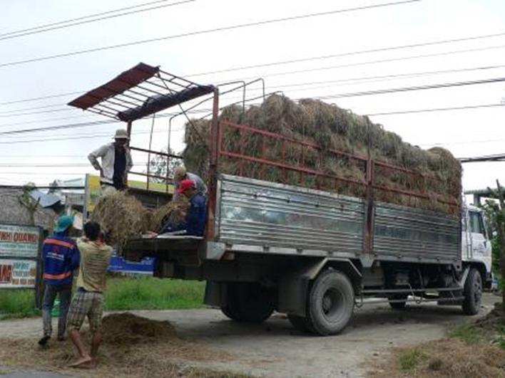 TRANSPORTATION OF RICE STRAW IN THE MEKONG