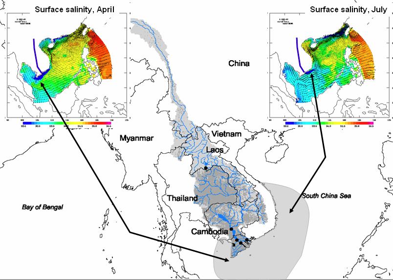 Notion of coastal estuary In the wet tropics, the upper boundary of an estuarine zone is the limit of tidal influence in a river, and the lower boundary is the limit of the turbid or brackish zone on