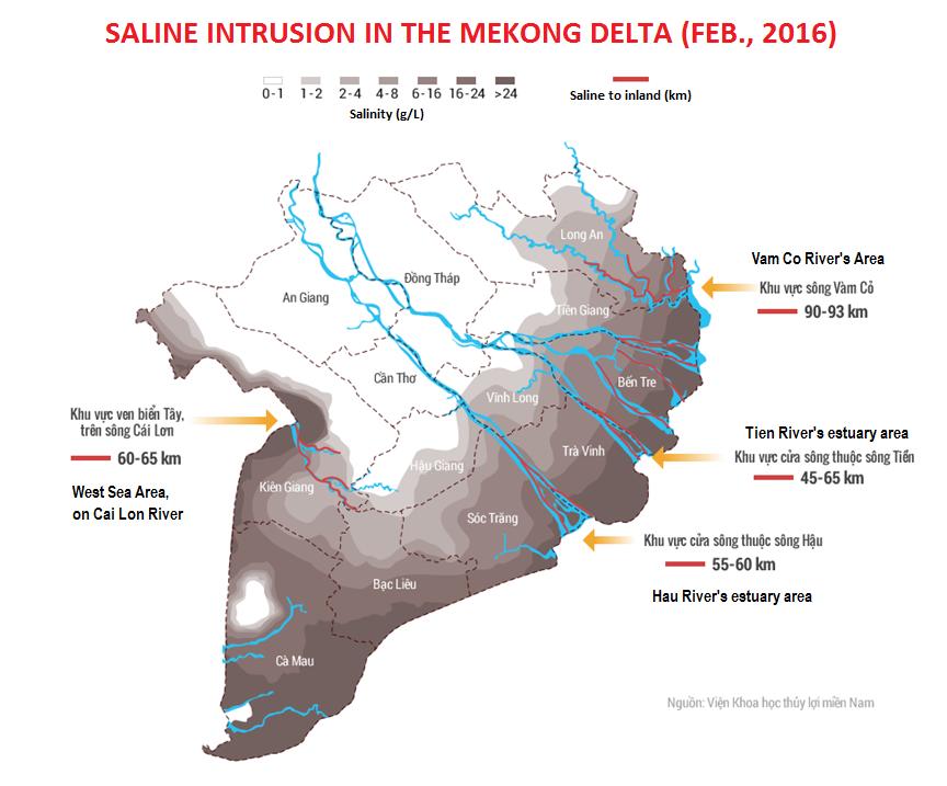 Low upstream flow leads the salinity intrusion to coastal areas more serious, special in year 2016 In the winter spring crop 2015 2016, more than 339,000 hectares of rice in coastal Mekong Delta