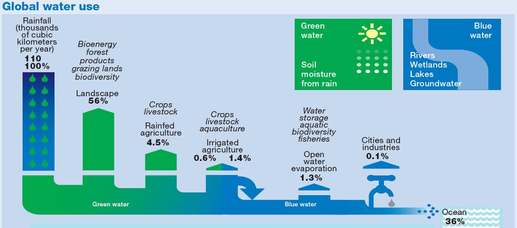 the soil and subsequently evaporated by vegetation. On a global scale this green water use is of several magnitudes bigger than the blue water use (Figure 4).
