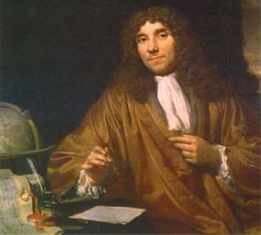Anton van Leewenhoek First person to make and use lenses to observe living microorganisms Some of his lenses could