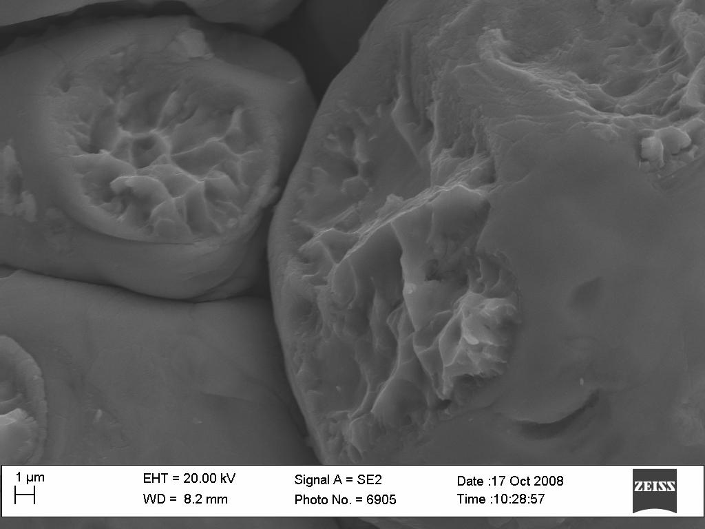 Fracture surfaces SEM examination of fracture surfaces has revealed