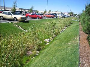 water-permeable surfaces Intercept runoff with