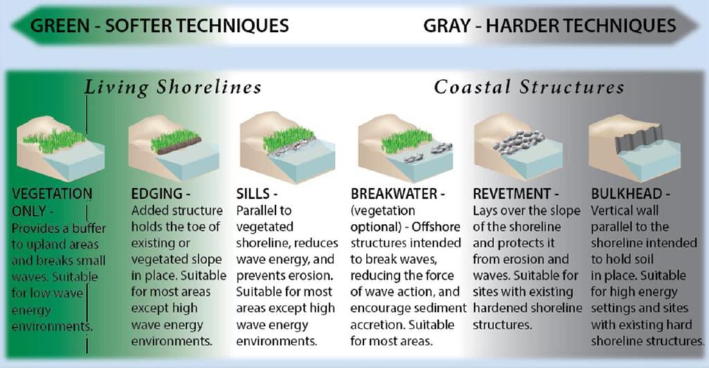 Coastal Community Adaptation Tool-kit Consider nature-based shore protection techniques Sources: NOAA 2015 - http://www.habitat.noaa.