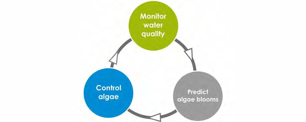 Algae Control Proposal 2. Specifications 2.1.