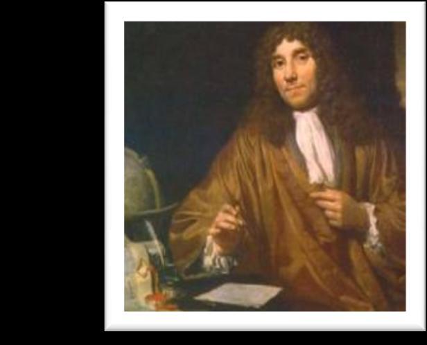 Microbiology History 1674 Microbiology born as a science Anthony van Leeuwenhoek Dutch drapery merchant Ground lenses