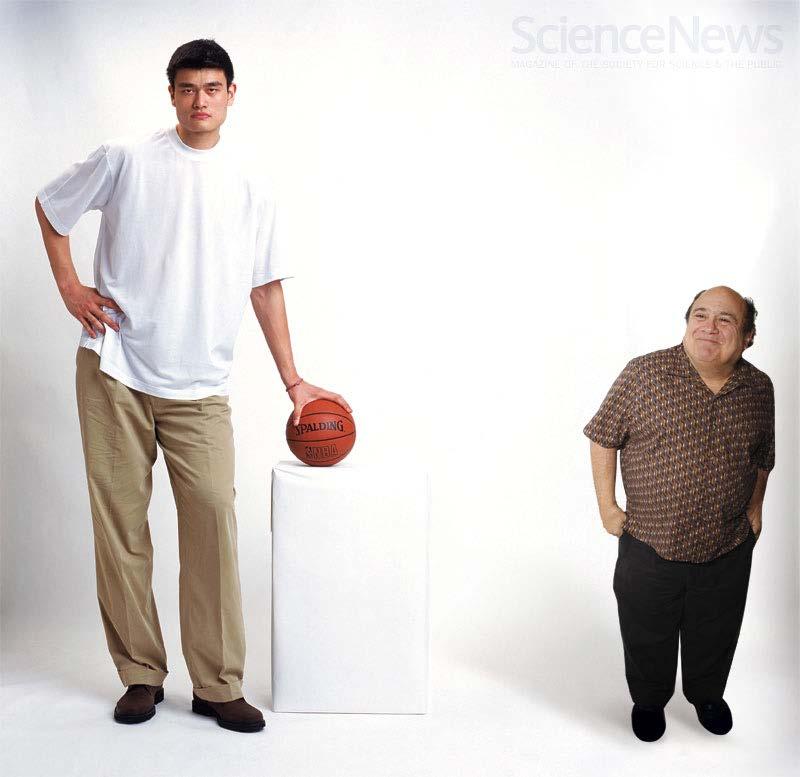 Is There Potential for Danny to be as Tall as Yao Ming? http://dnanewstoday.wordpress.