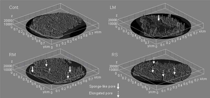 155 Figure 2: 3D surface-plots of selected porous CT cross-section images of D 2 aggregates constructed with ImageJ (Gridsize:256, Smoothing:, Lighting:.25).