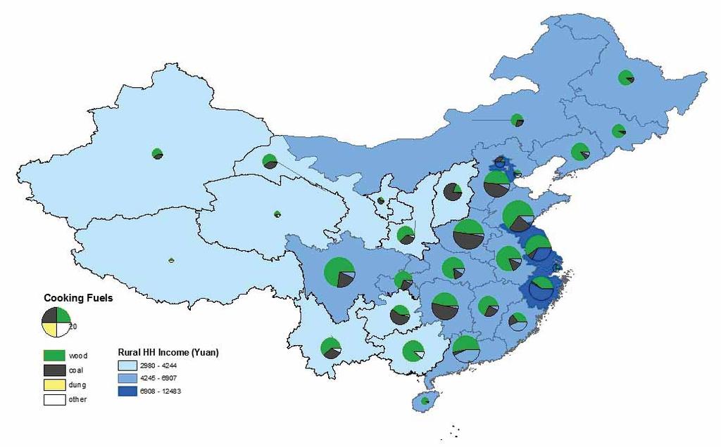Cooking fuel usage in rural China dung 0% coal 26% other 14% Wood, straw 60% Proportion of rural households main cooking fuel and income level #1 Henan Biomass: