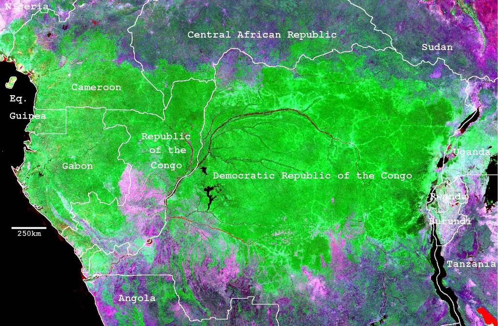 Congo basin overview Forested area : 2,000,000 sq km Second largest tropical forest in the world Forests of Congo Basin