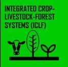 Source : Rede de Fomento Integrated Crop Livestock Forest Systems in Brazil ton Co 2 eq 40 35 30 25 20 15 10 5 0 iclf covered 6.7 9.1 35.1 4.8 area 26.4 (million ha) 3.3 17.7 1.9 Carbon 10.7 5.