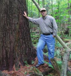 Siting Old-Growth Restoration Areas You may choose to implement old-growth management and restoration, whether it is passive or active, to all of your woods or only a portion of it.