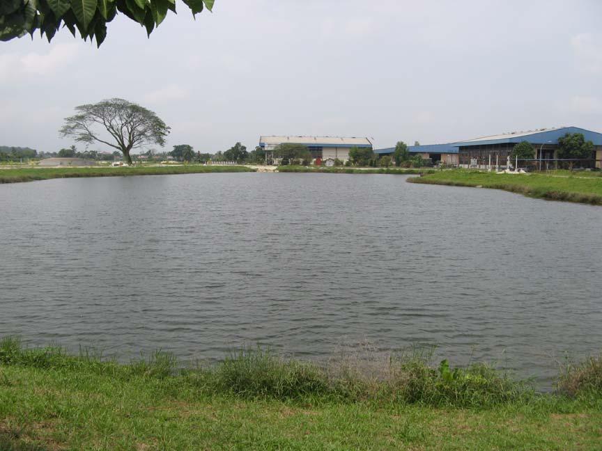 (a) Ex-Mining Pond 1