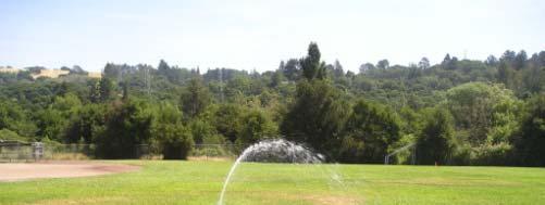 Efficiency Begins with Uniformity Landscape irrigation is most