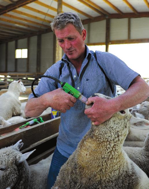 DRYSTOCK GUIDELINES SEVEN INTERVENTION POINTS FOR ON-FARM 7 INTERVENTION POINT 2: ANIMAL HEALTH MANAGEMENT Disease prevention and control require regular attention to stock health, knowledge,