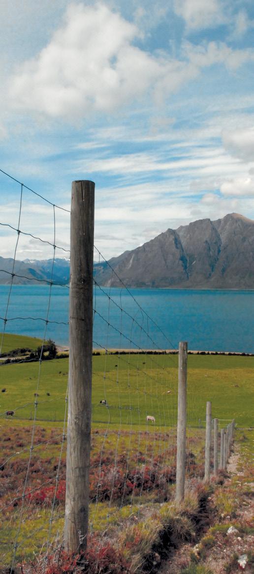 8 BEEF + LAMB NEW ZEALAND DEER INDUSTRY NEW ZEALAND INTERVENTION POINT 3: PEOPLE AND EQUIPMENT Contamination can be readily brought onto and spread around your farm by visitors, their vehicles or via