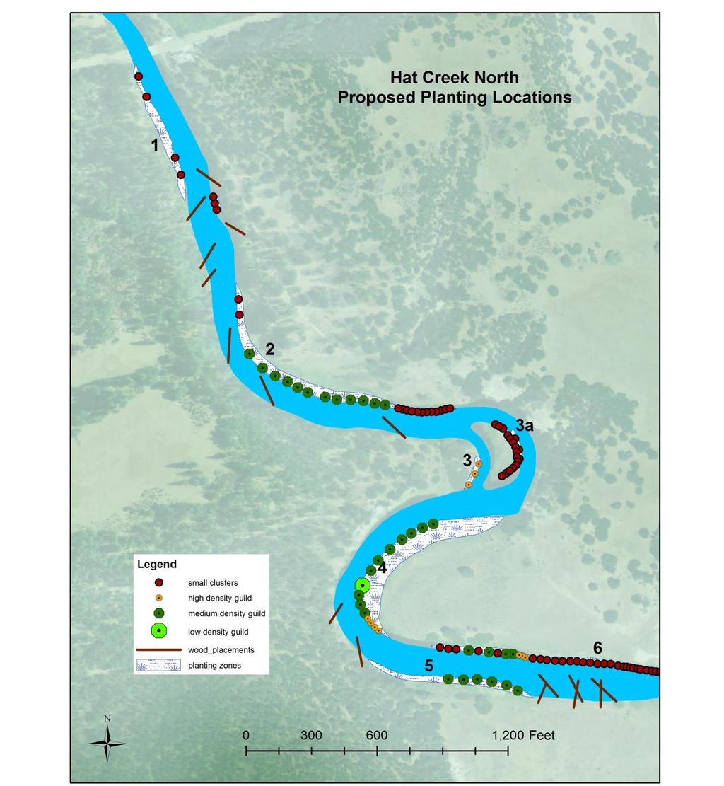 Figure 4. Proposed planting locations for the northern half of the lower Hat Creek Wild Trout Area restoration reach.