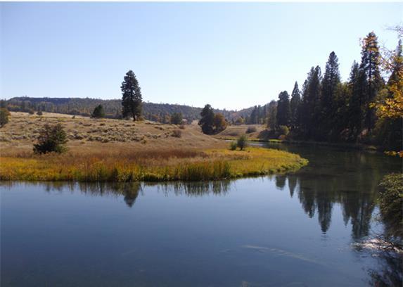 Figure 1. Photograph of Hat Creek in the project reach showing a low terrace formation in photo center, with grasslands and ponderosa pine woodland in the background. D.