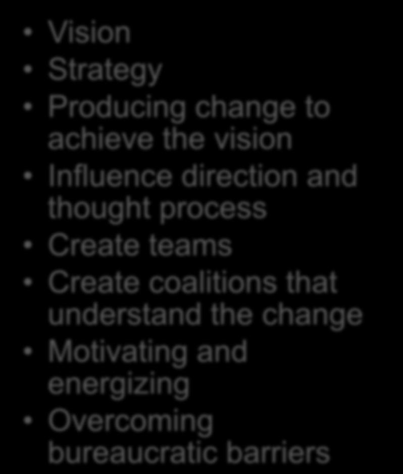 Vision Strategy Producing change to achieve the vision Influence direction and thought process Create