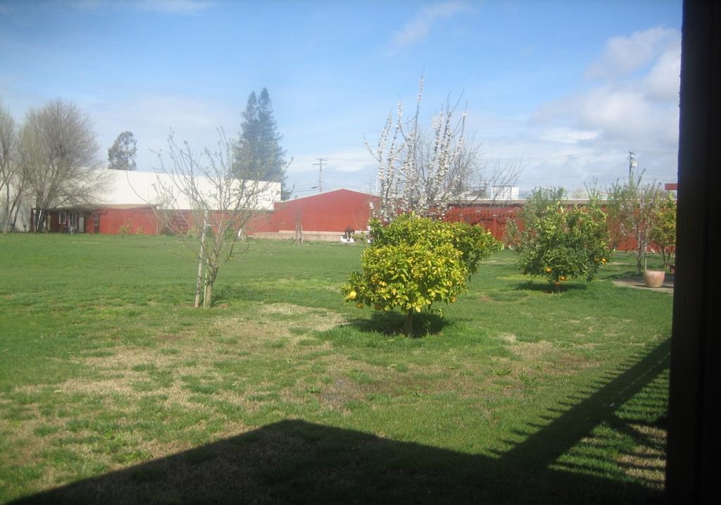 1. Photo of the landscaped, open space area at the northwestern portion of the site.